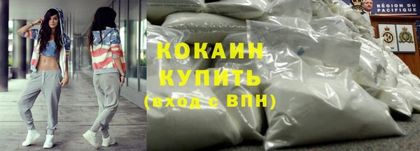 ГАЛЛЮЦИНОГЕННЫЕ ГРИБЫ Лагань