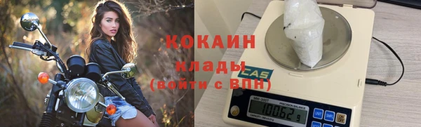 ГАЛЛЮЦИНОГЕННЫЕ ГРИБЫ Лагань