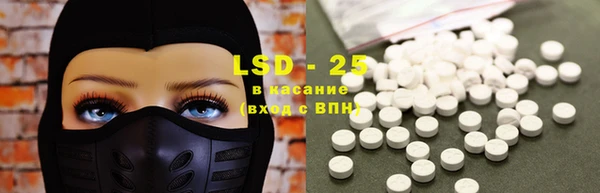 сатива Лабытнанги