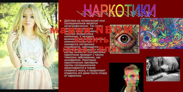 ГАЛЛЮЦИНОГЕННЫЕ ГРИБЫ Лагань