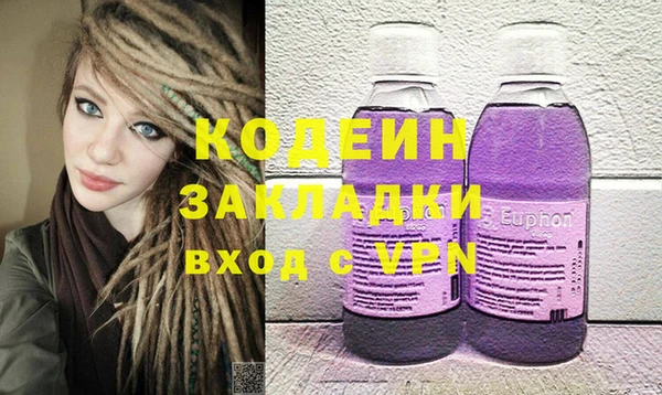 сатива Лабытнанги