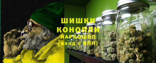 ГАЛЛЮЦИНОГЕННЫЕ ГРИБЫ Лагань