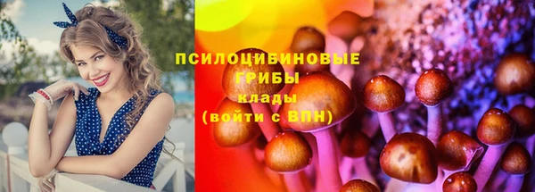 сатива Лабытнанги