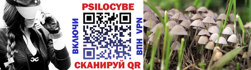 Псилоцибиновые грибы ЛСД  Мелеуз 